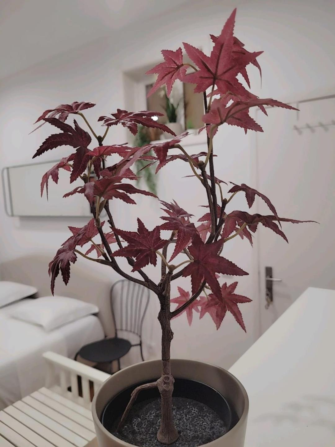 Varanda Privada iroom