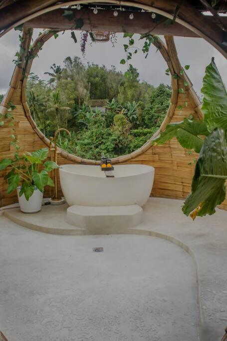 Casa Savana view 5