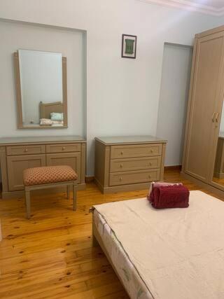 Large apartment for families
