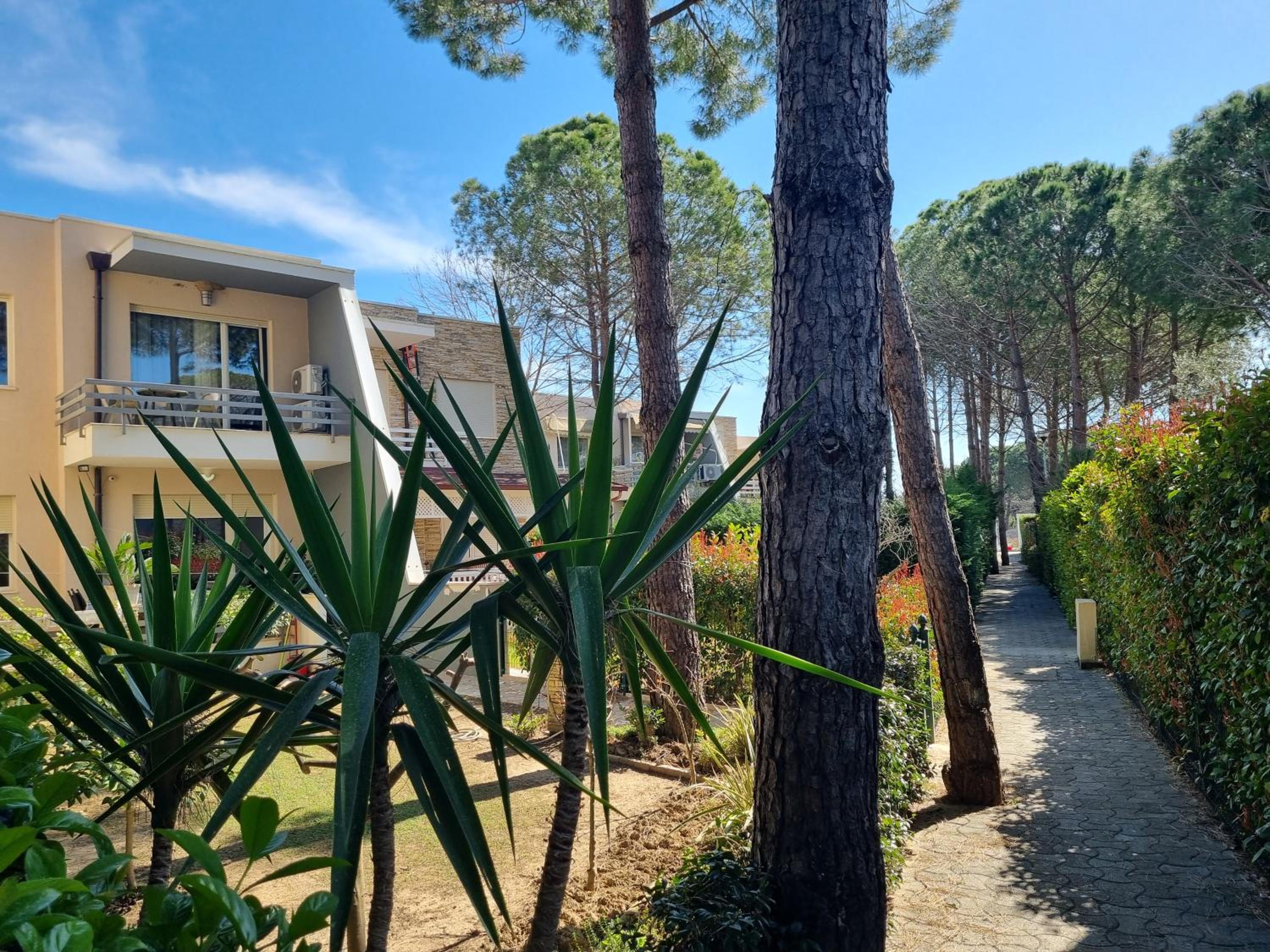 Sunny Beach Apartments - 274