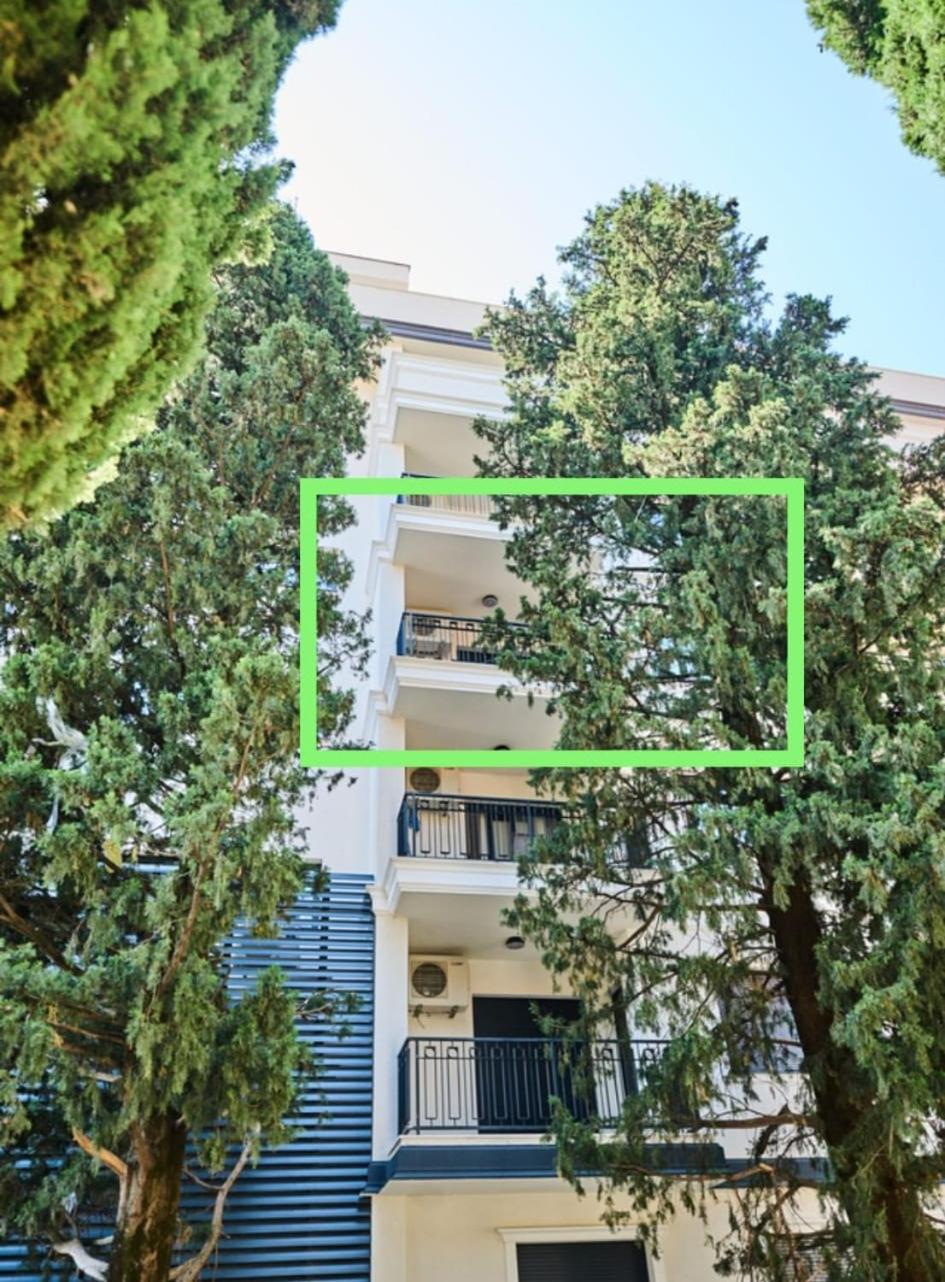 Pine 1 apartment in the center