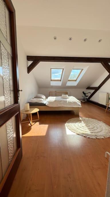 Kollarova Apartment