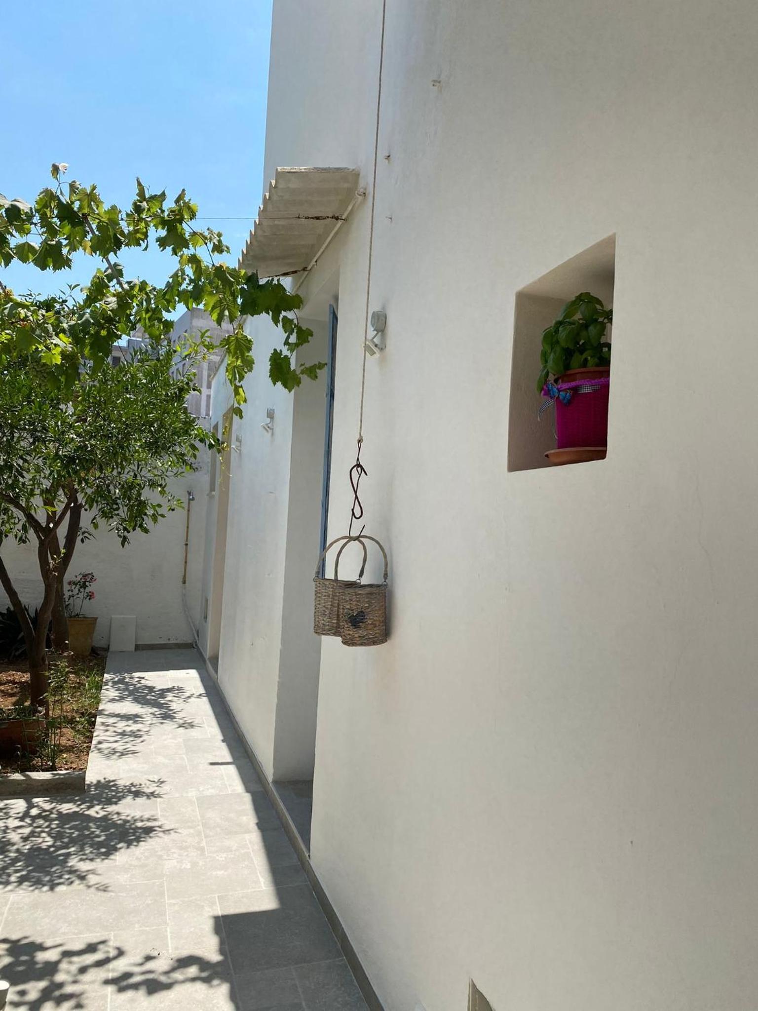 Small House Lecce view 4