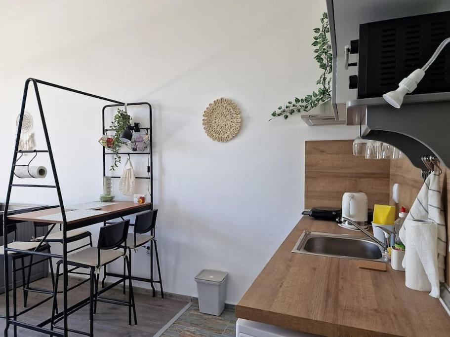 Comfort studio in complex Shartrez
