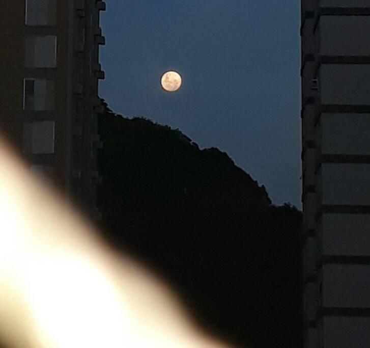 Guarujá SP Pitangueiras Apto pé na areia