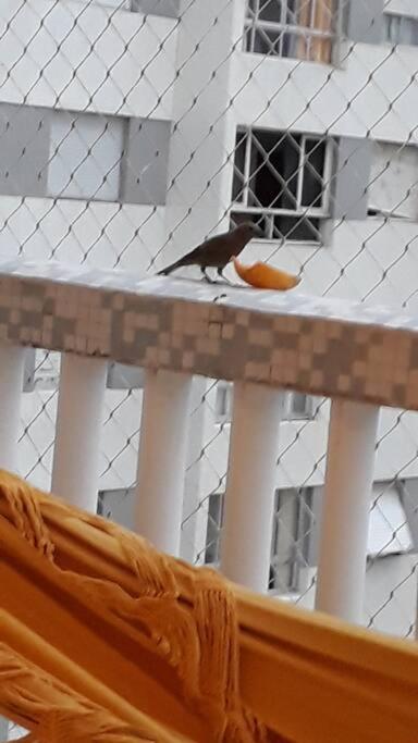 Guarujá SP Pitangueiras Apto pé na areia