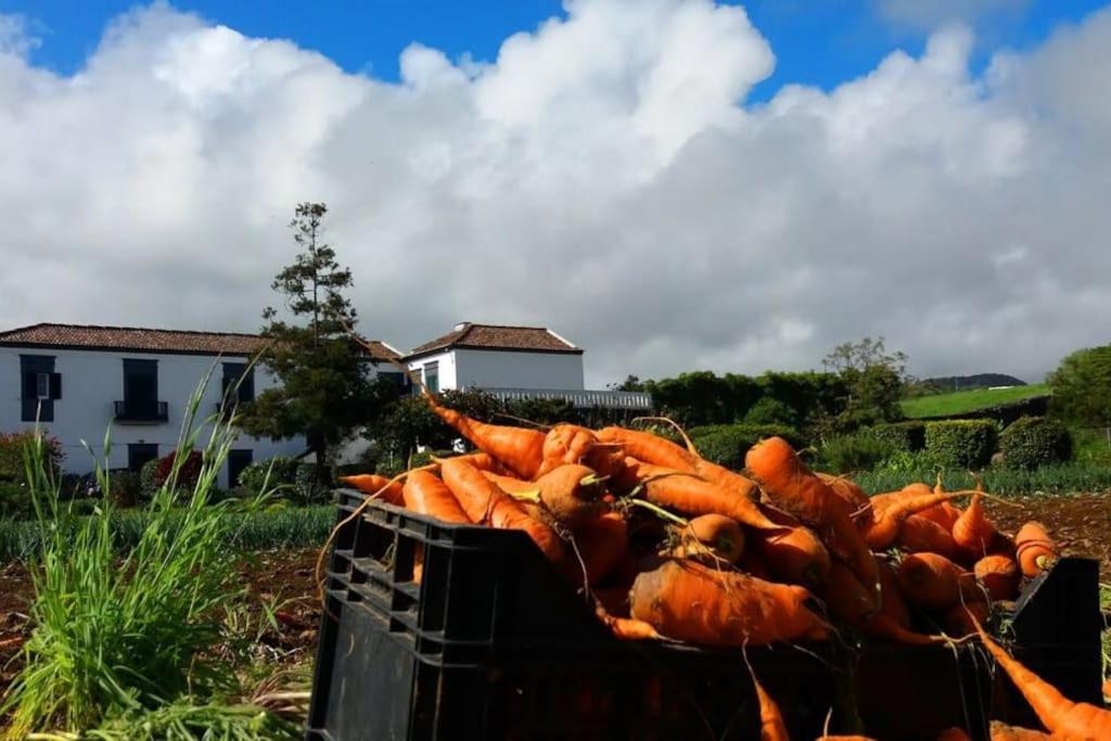 Ninho do Cedro - Azorean tranquility view 3