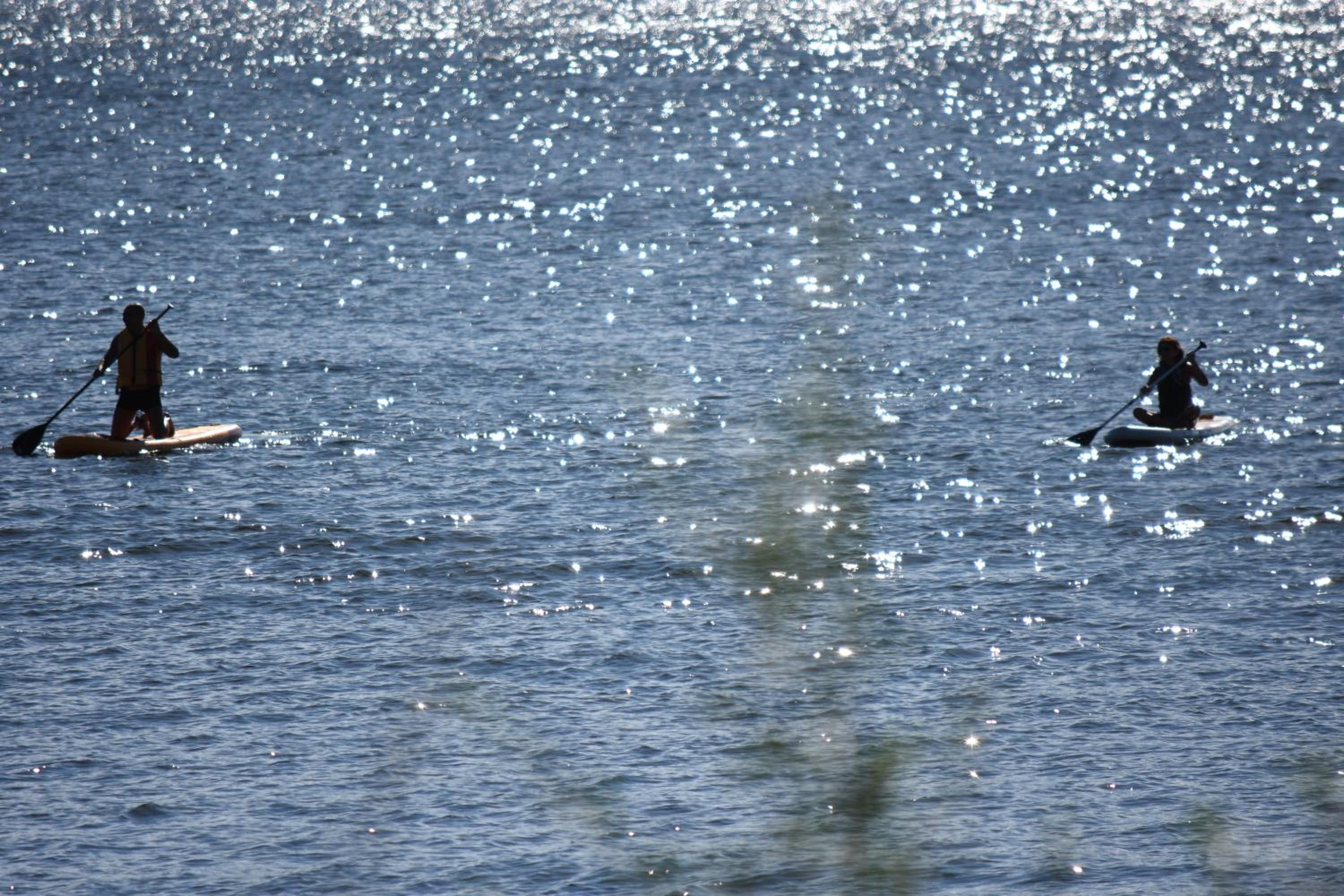 Peperina Lago Los Molinos