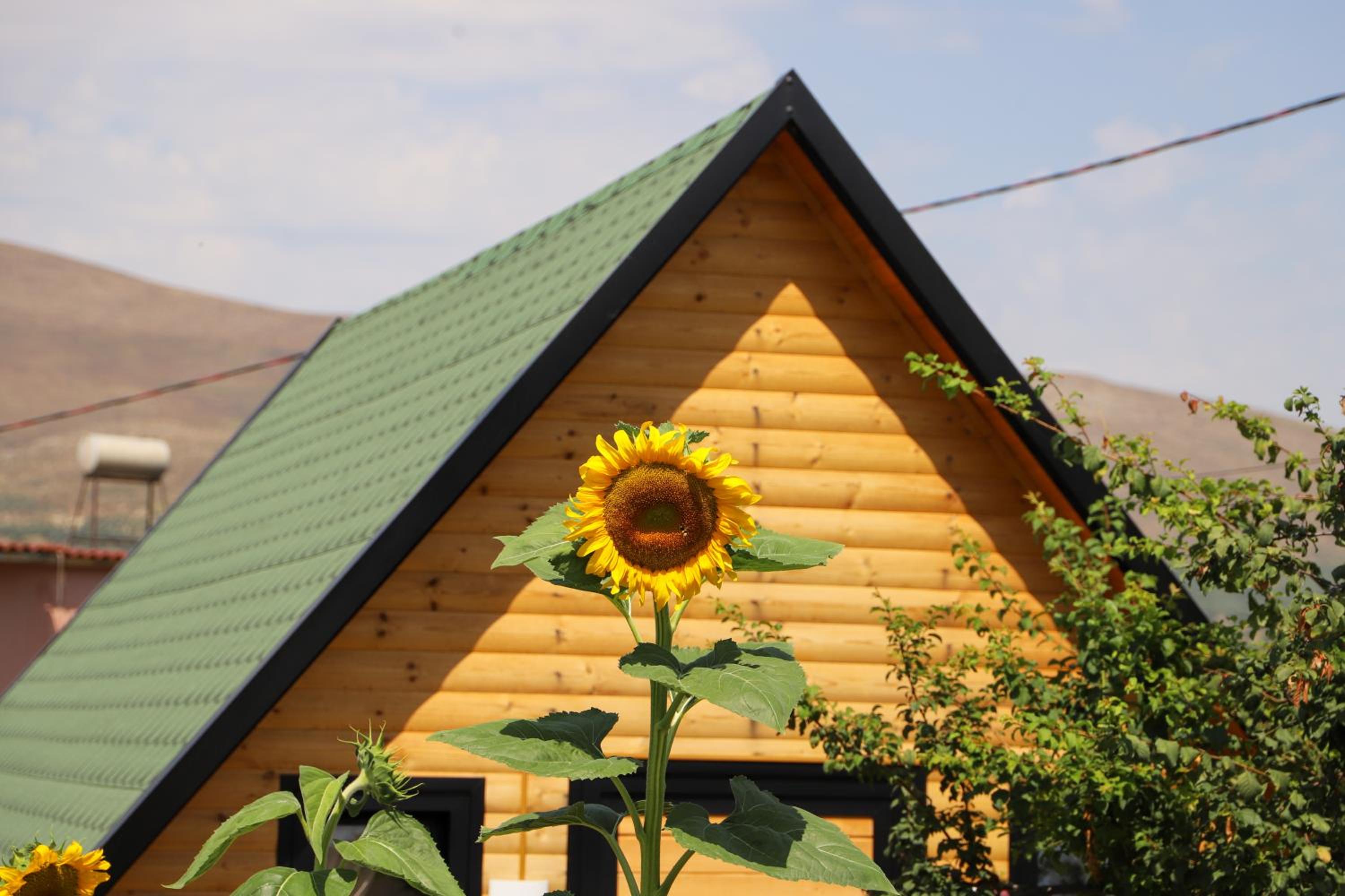 Wood House Berat