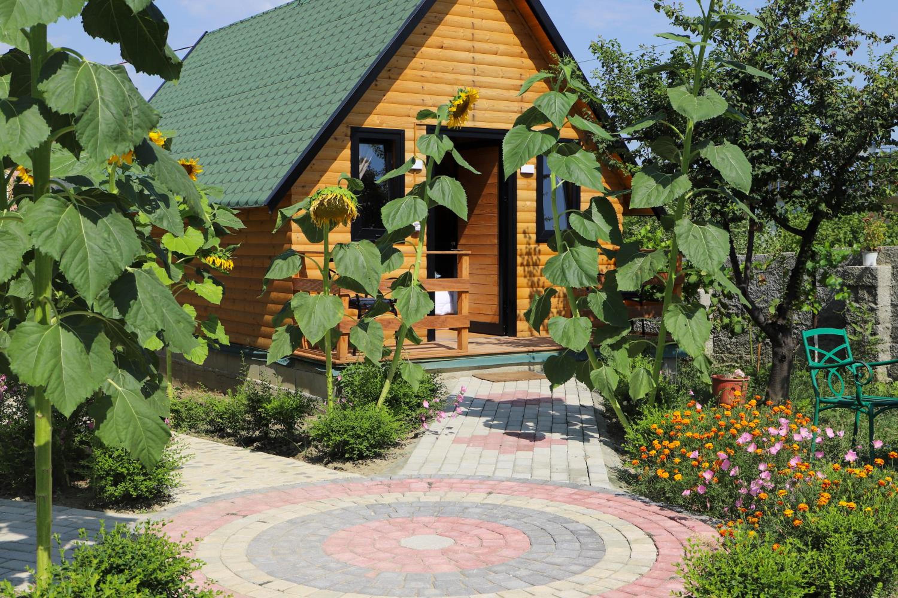 Wood House Berat
