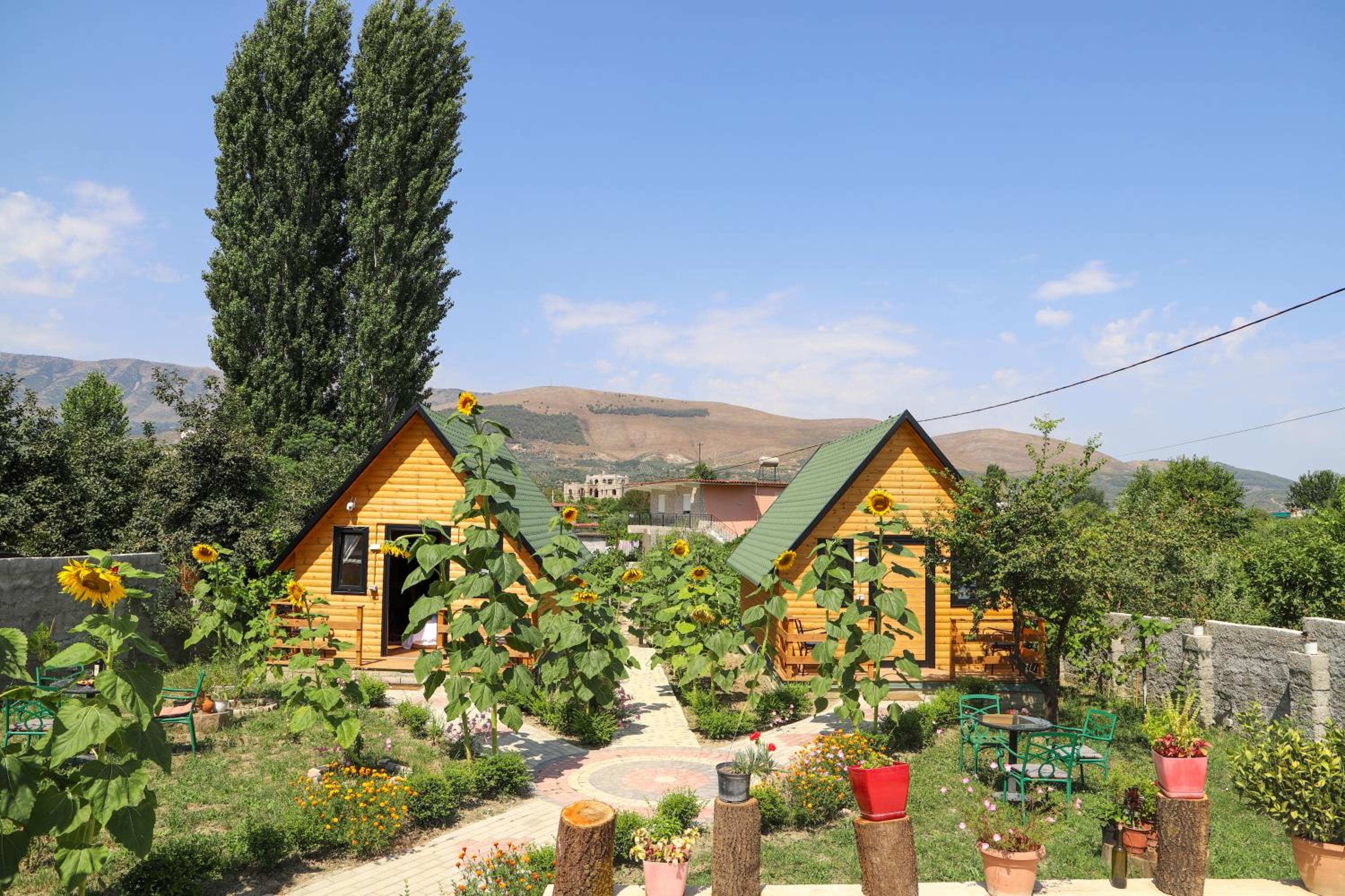 Wood House Berat