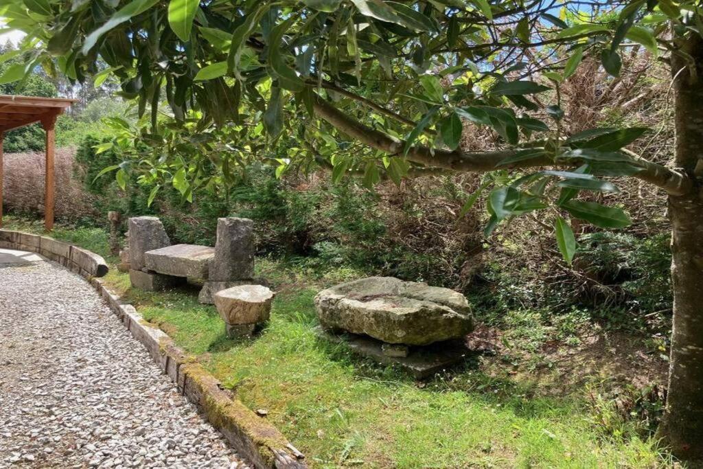 La cabaña de Vicente con piscina