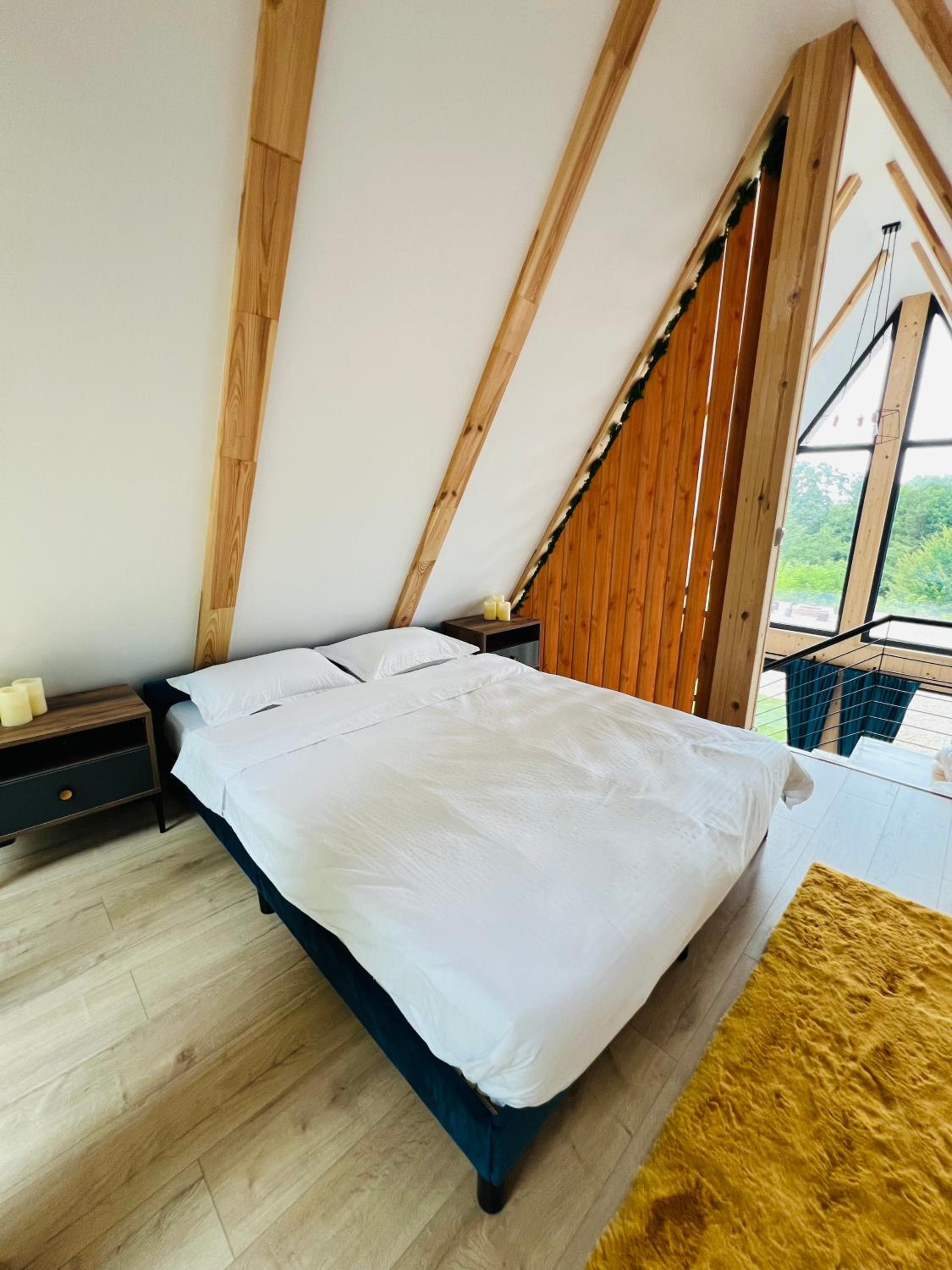A-frame Marisa Vadu Crisului view 4