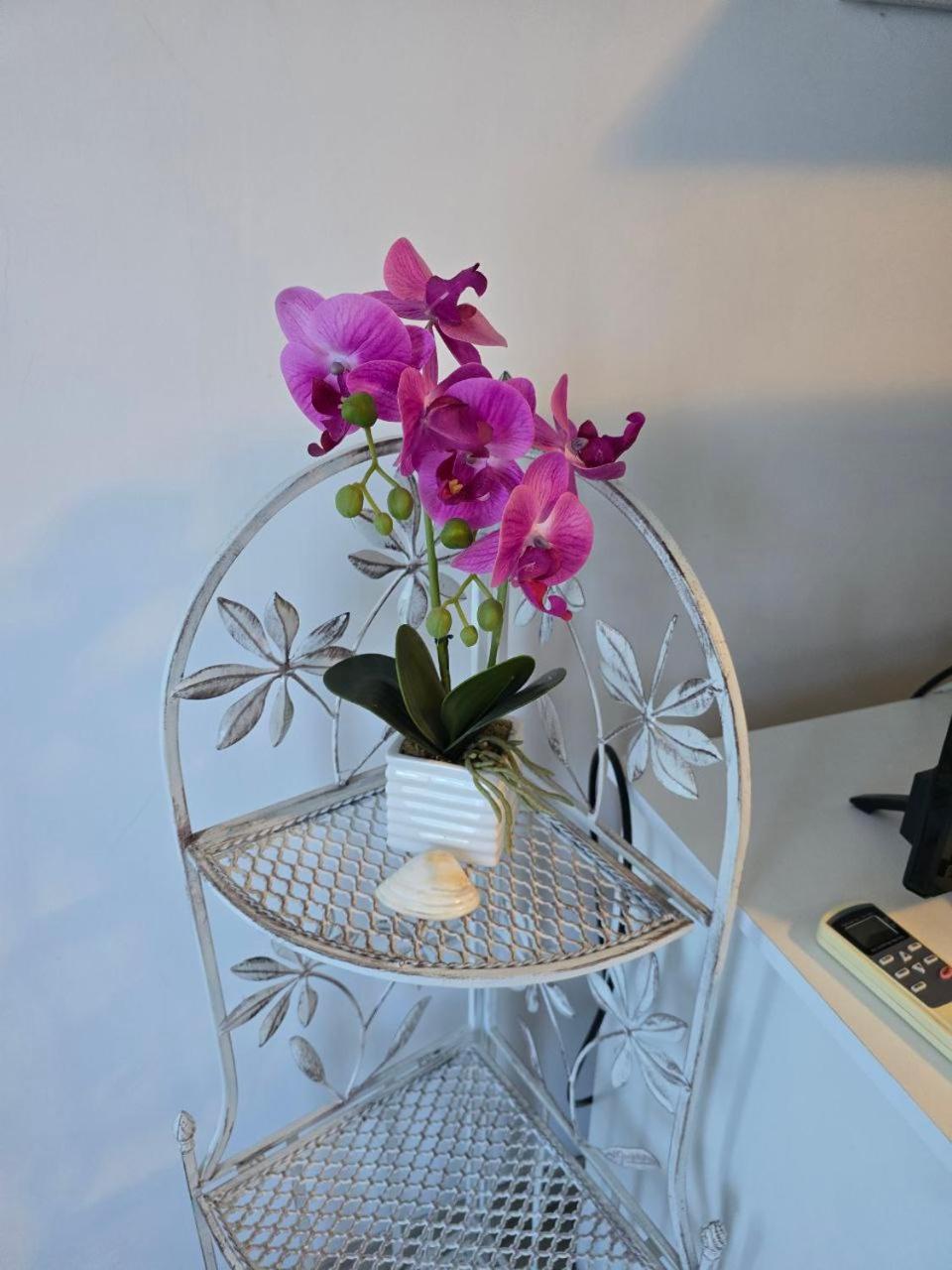POMORIE Luxury Appartment