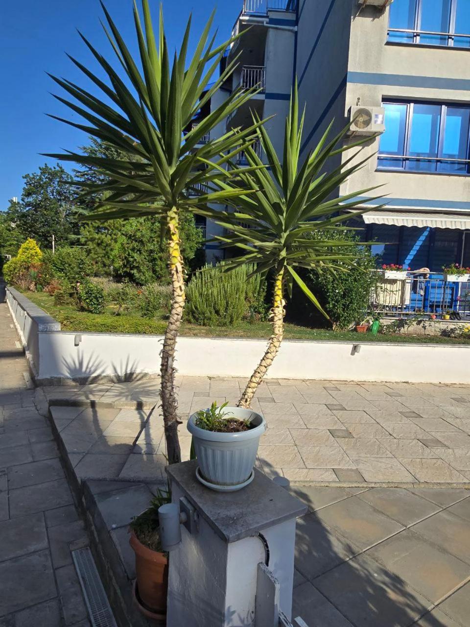 POMORIE Luxury Appartment