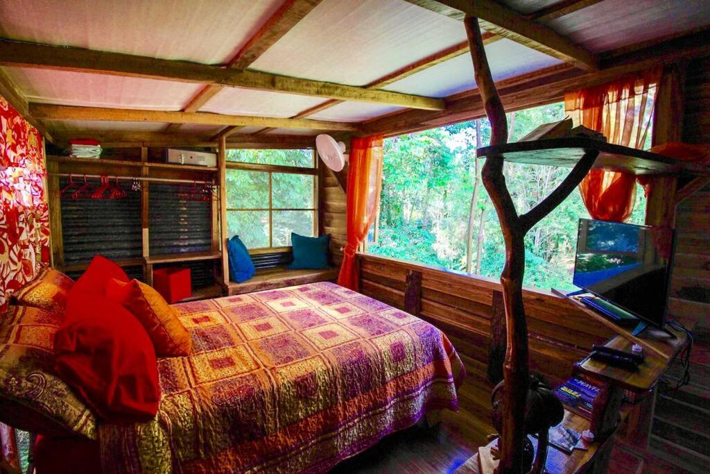 A Treehouse the Green Frog Romantic setting & Pool