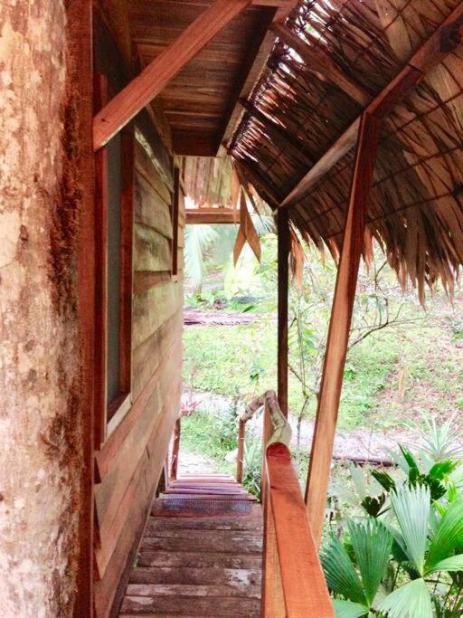 A Treehouse the Green Frog Romantic setting & Pool