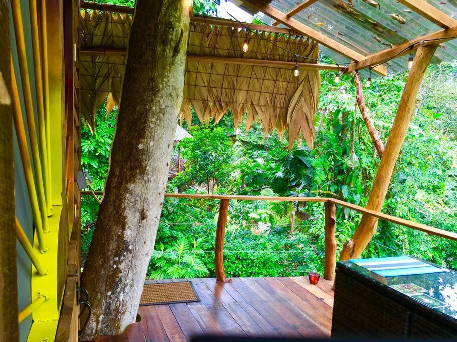 A Treehouse the Green Frog Romantic setting & Pool