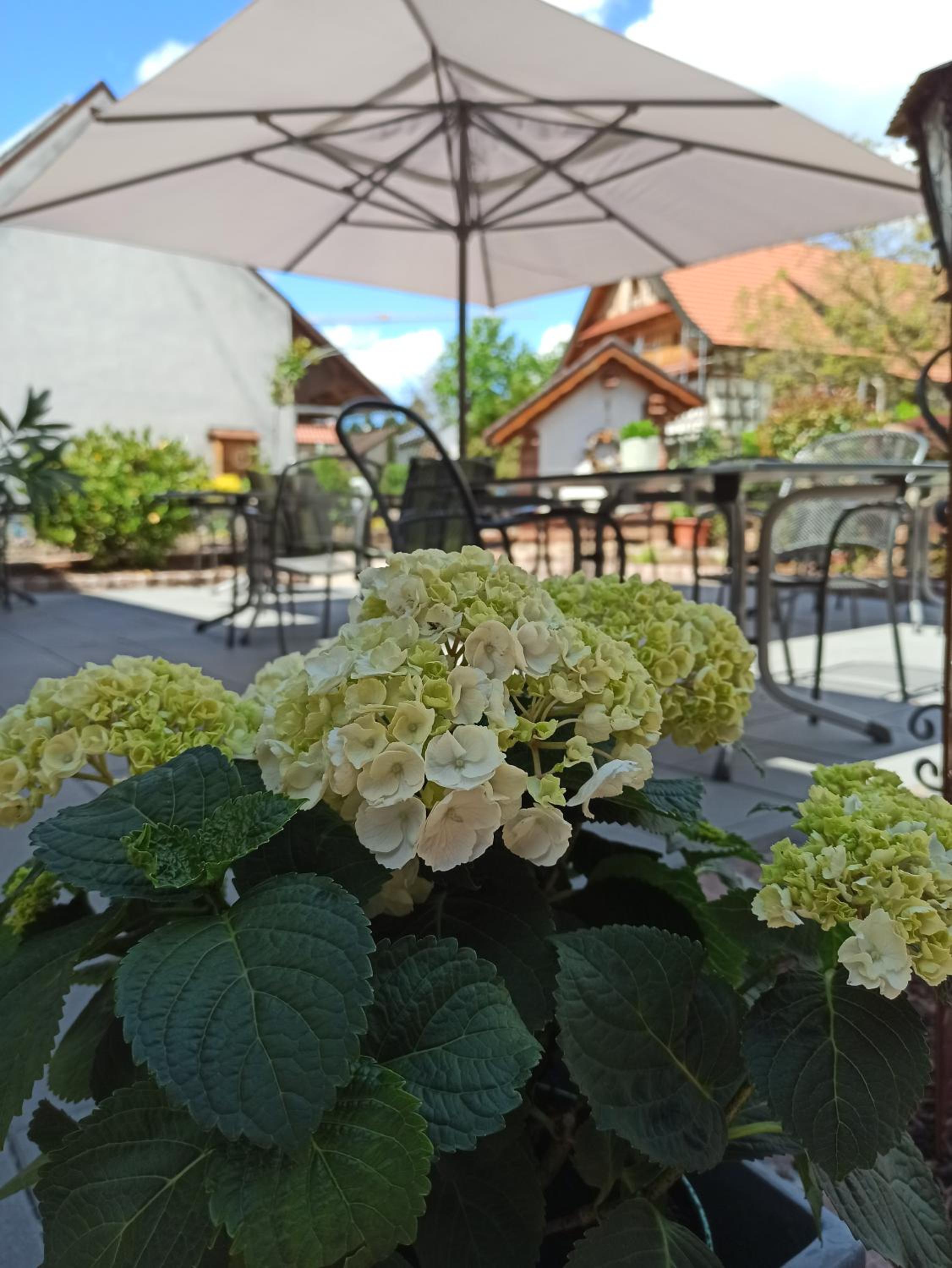 Hotel-Gasthof Rose