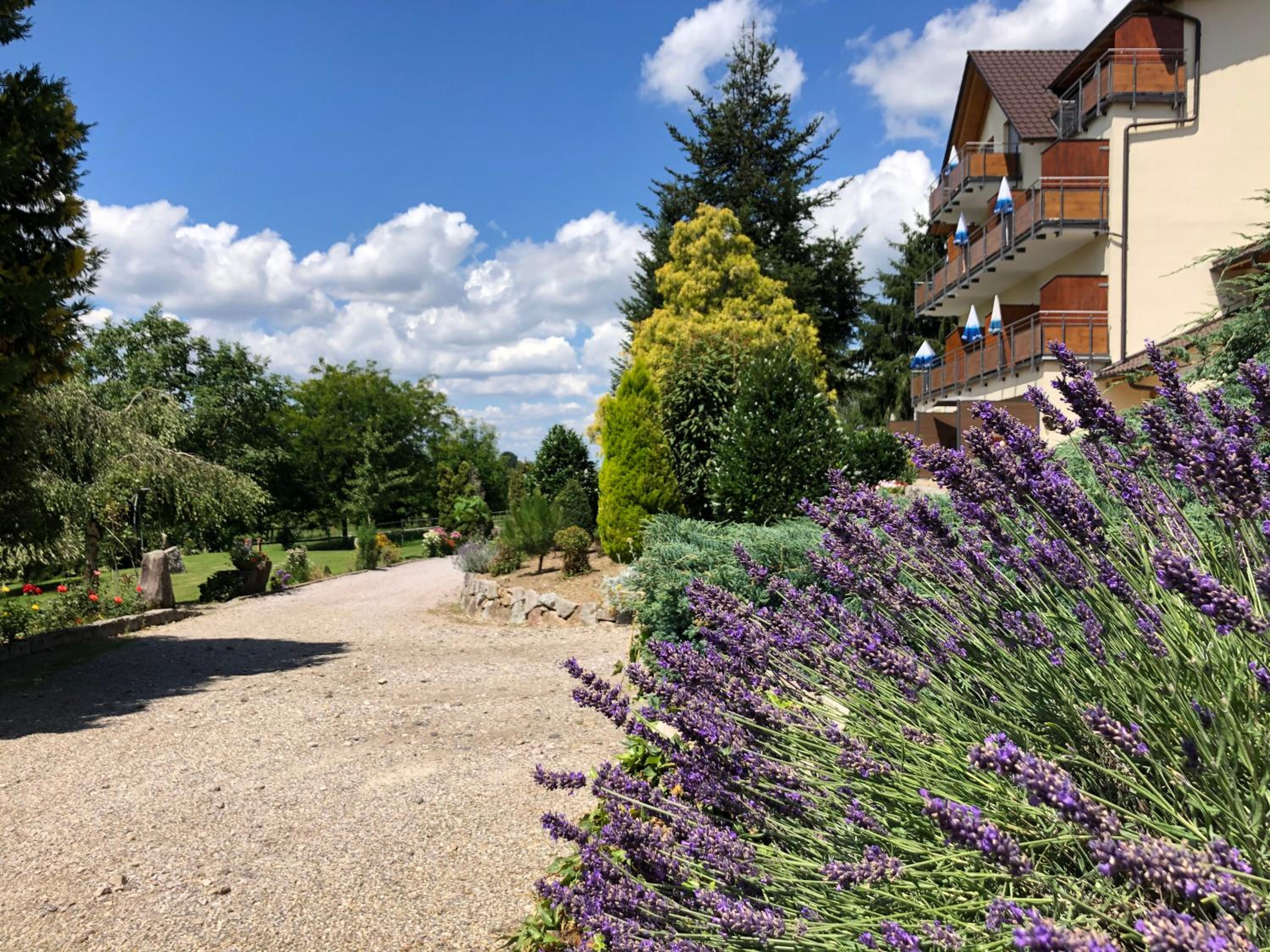 Hotel-Gasthof Rose