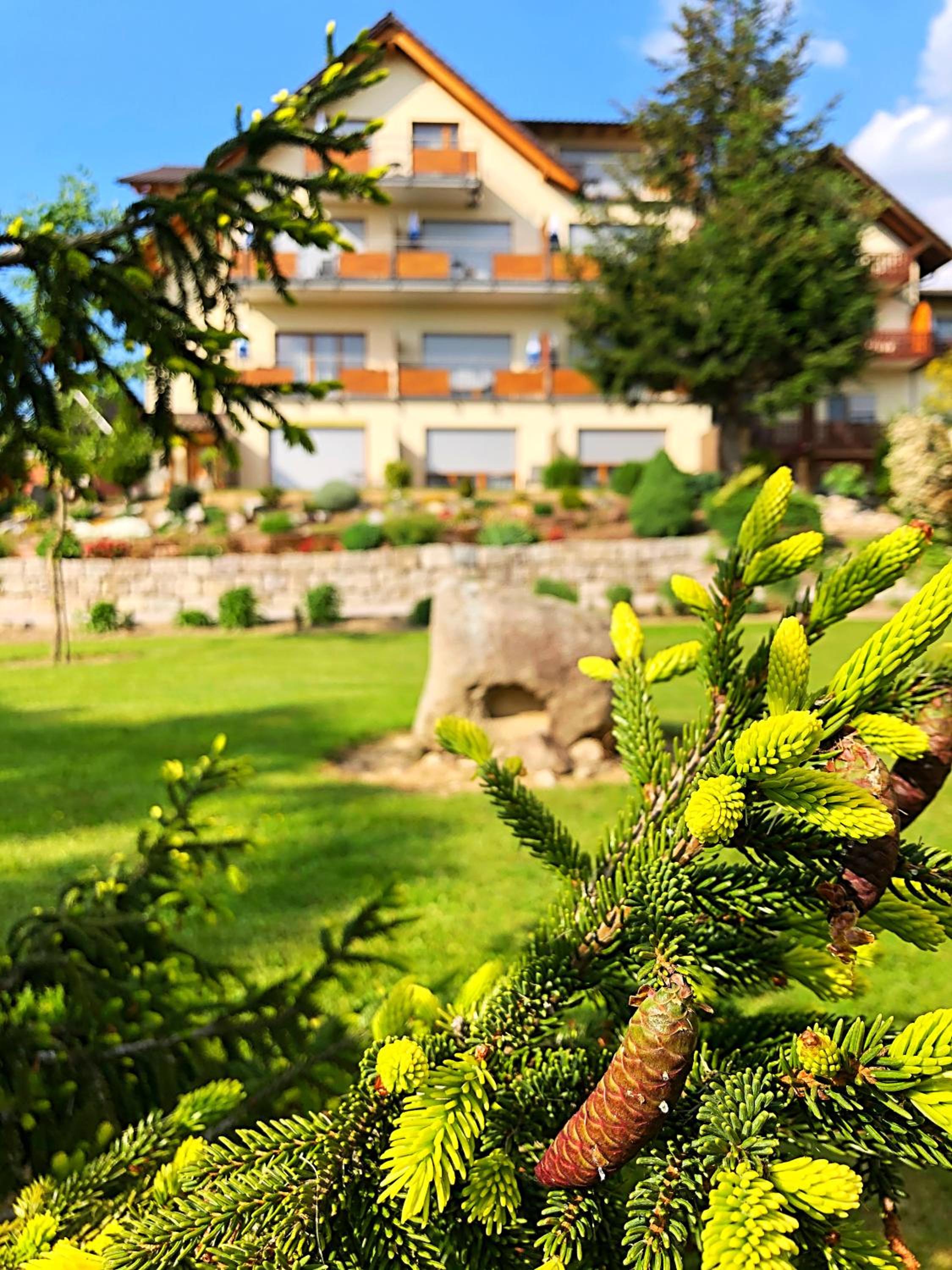 Hotel-Gasthof Rose