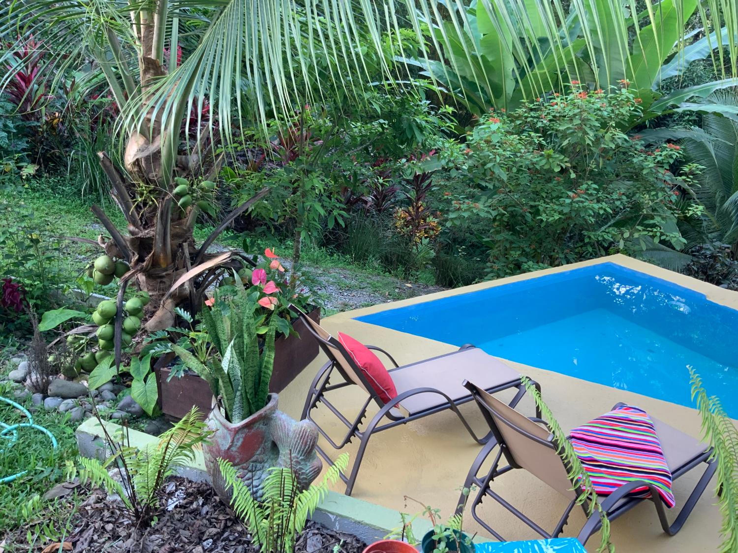 Sloth Romantic Treehouse with plunge pool