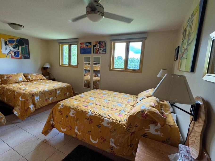 Chalet Scott SPA sur Rivière