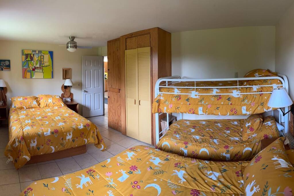 Chalet Scott SPA sur Rivière