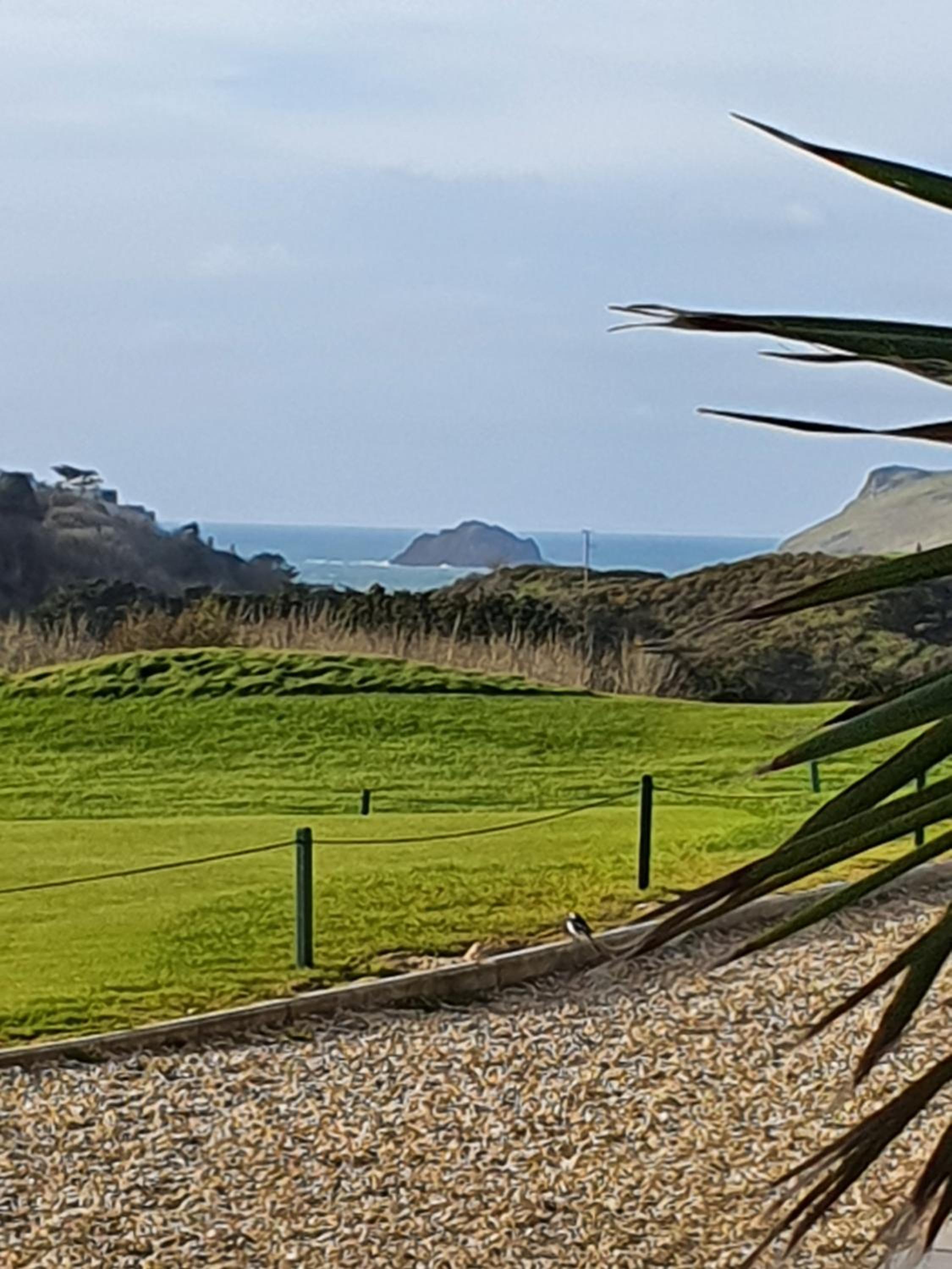 Gardenia Cottage Cornwall