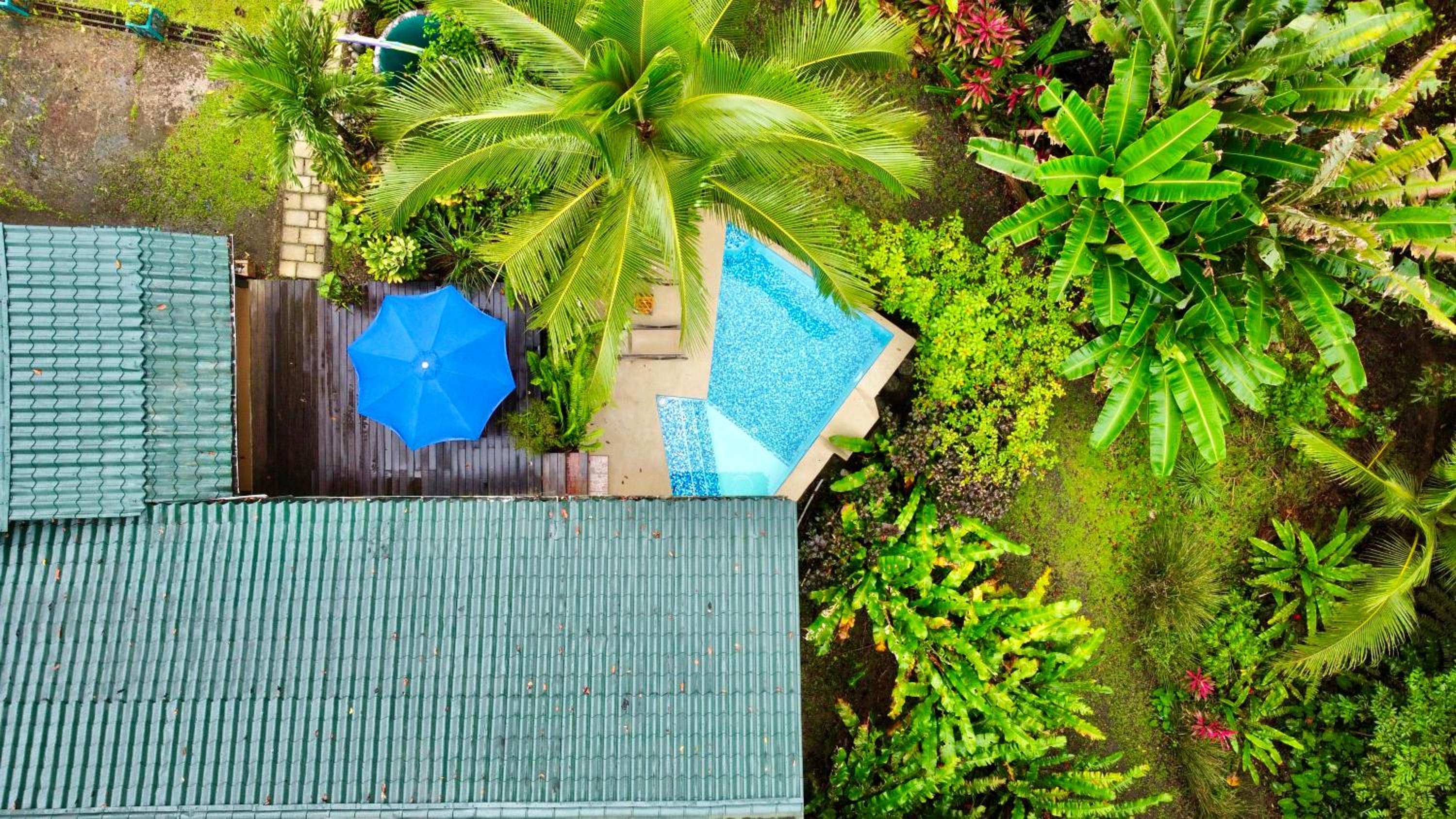 Sloth Romantic Treehouse with plunge pool