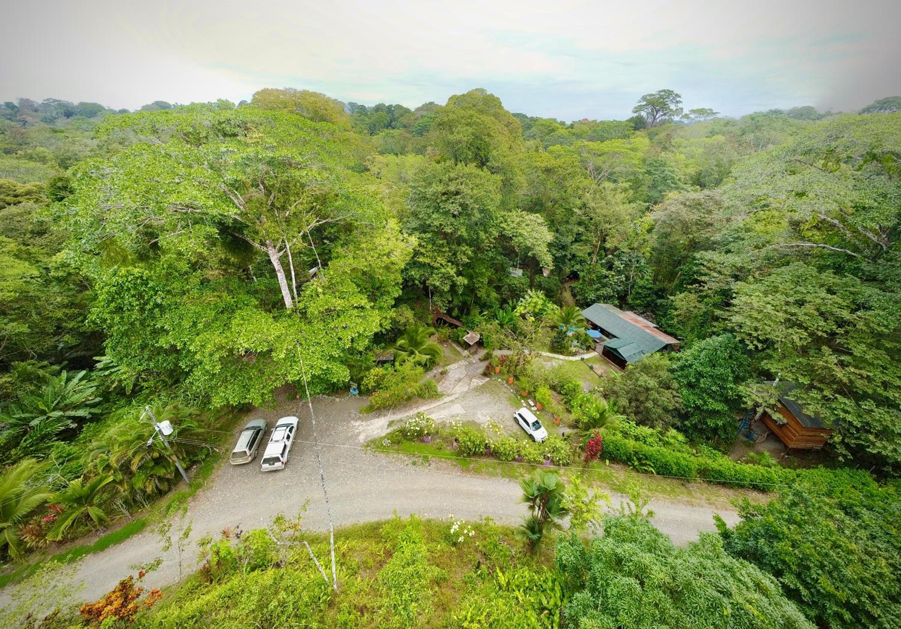 Sloth Romantic Treehouse with plunge pool