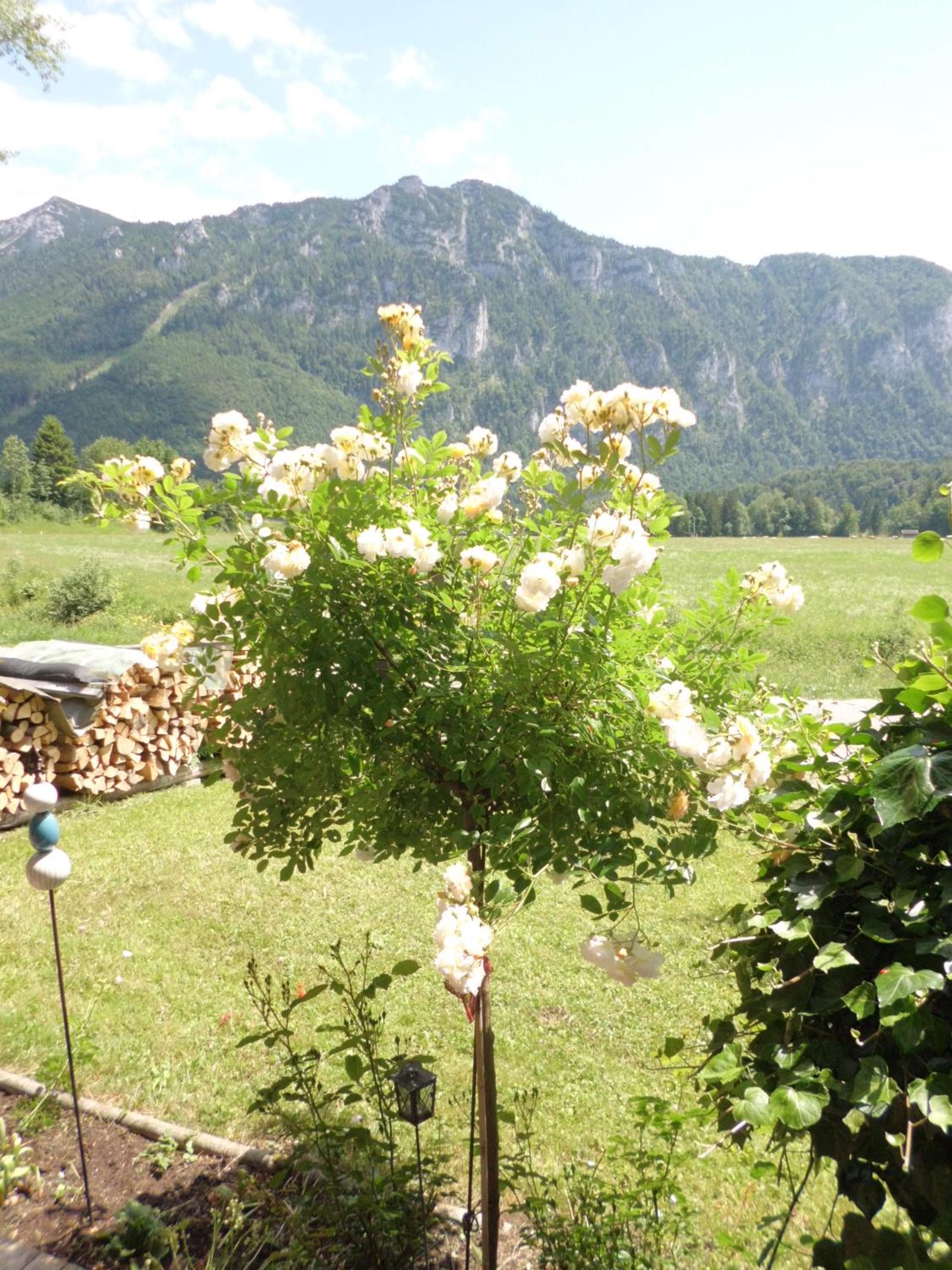 Gästehaus Barbara Schwaiger - Chiemgau Karte