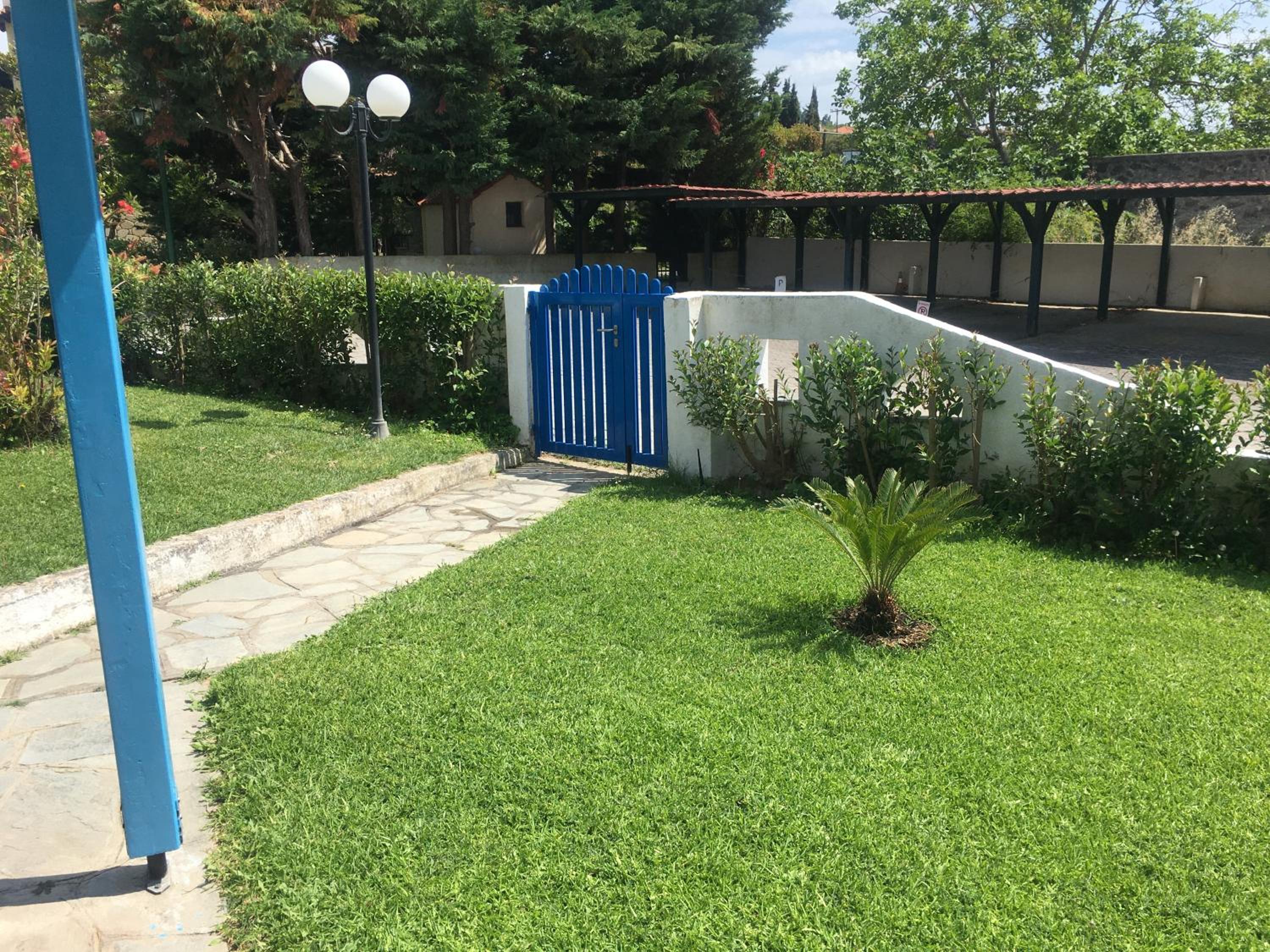 Blue house