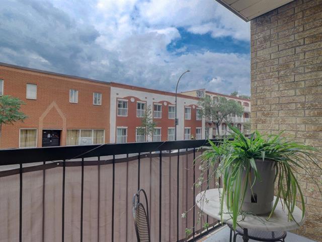 Cozy shared condo in best Montreal area