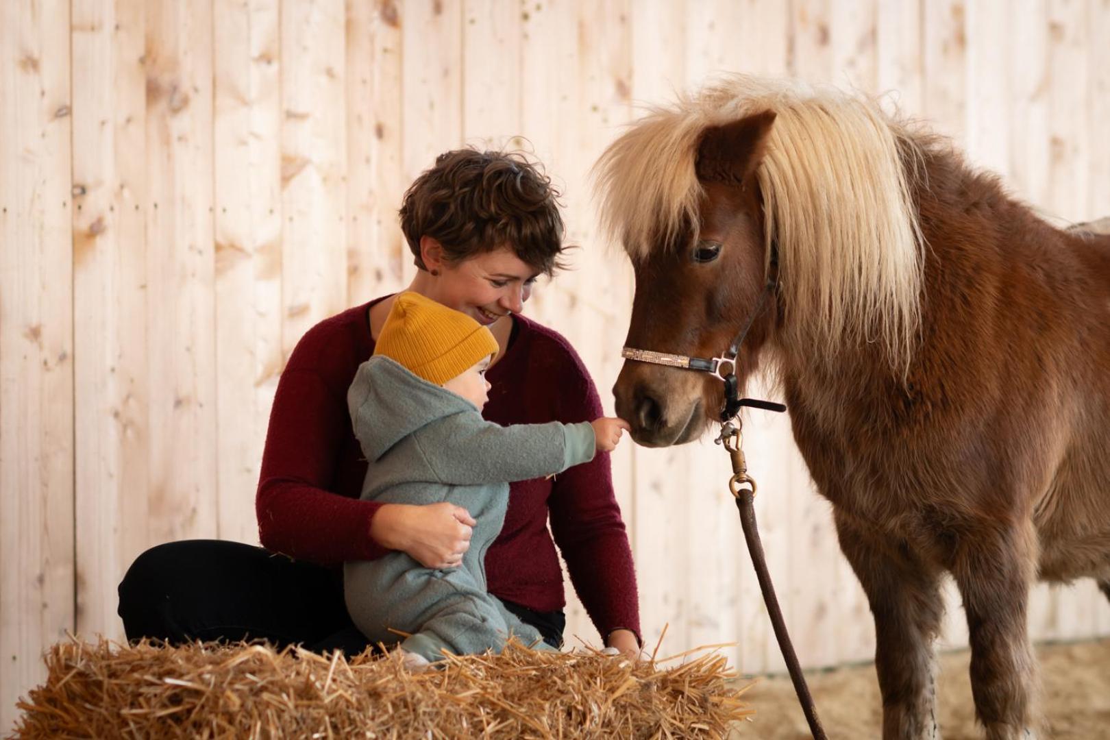 Family Ranch Urlaub am Pferdehof