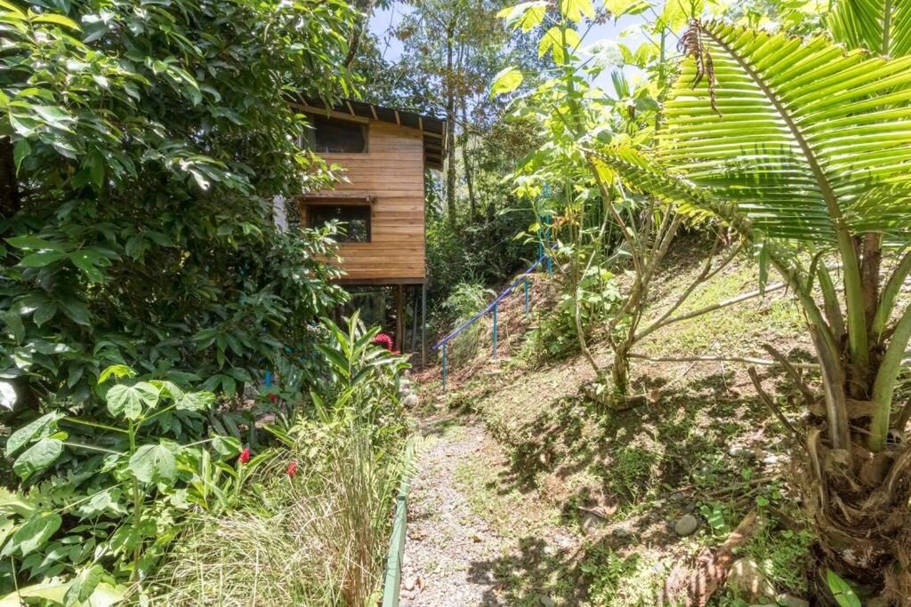 Gecko Treehouse with Jungle View, Plunge Pool & WiFi