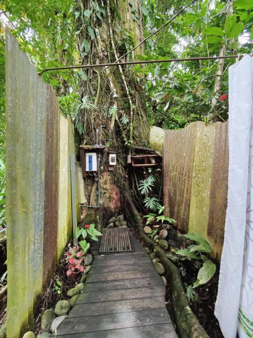 Gecko Treehouse with Jungle View, Plunge Pool & WiFi