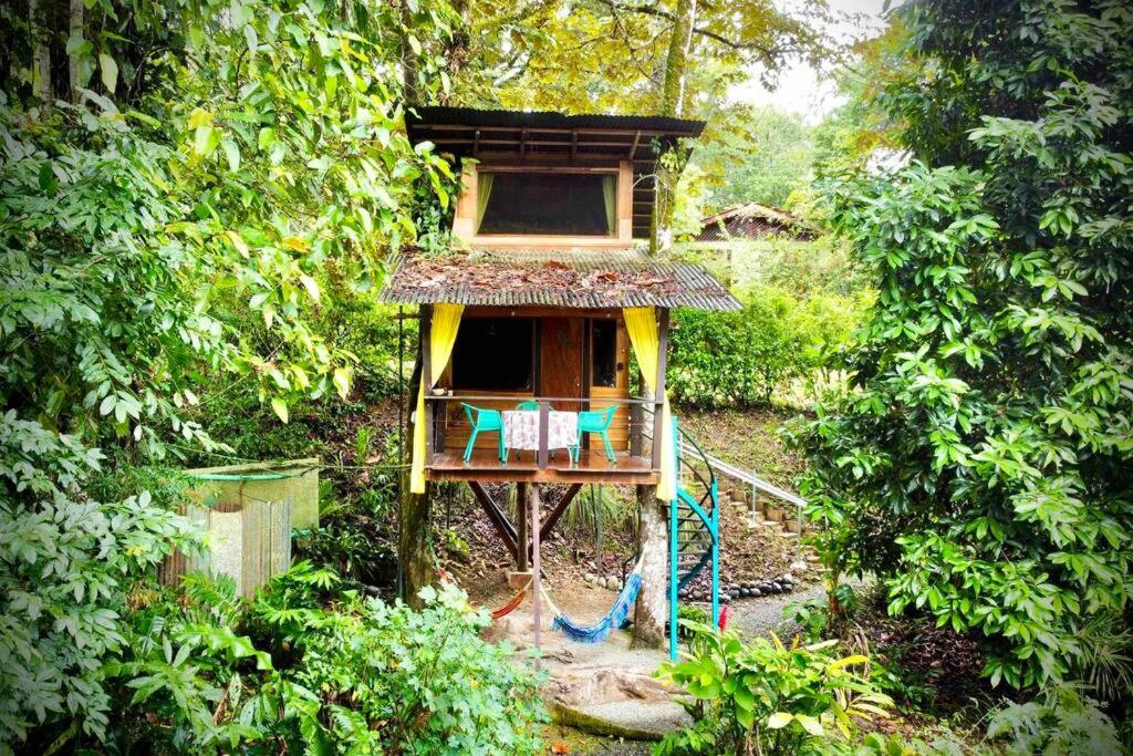 Gecko Treehouse with Jungle View, Plunge Pool & WiFi