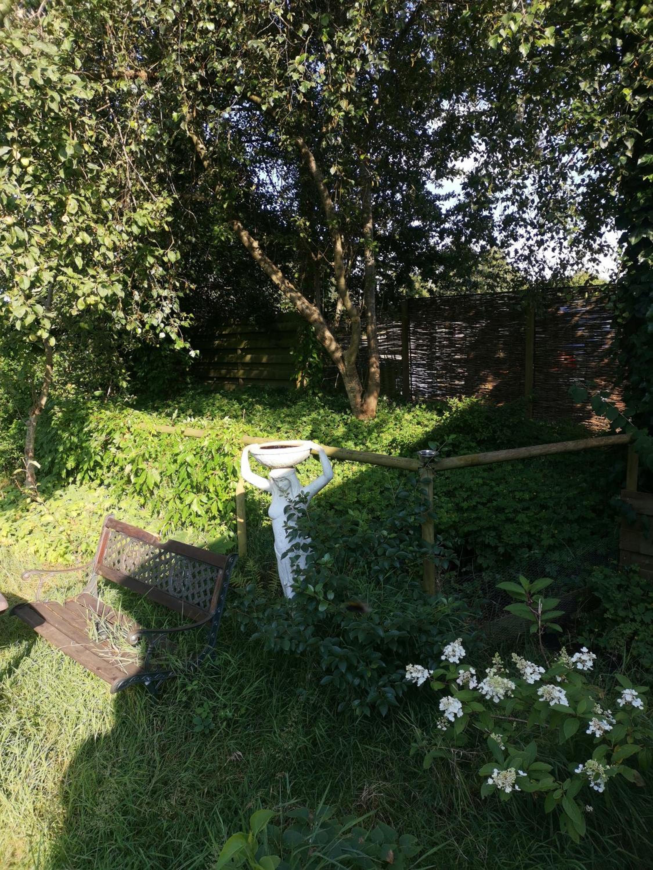 Photo 13