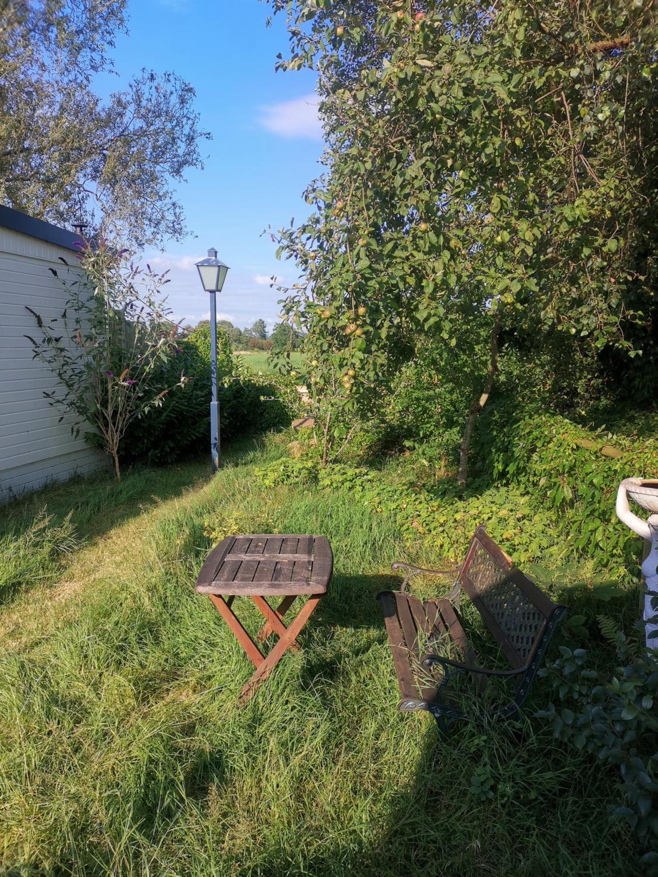 Photo 38