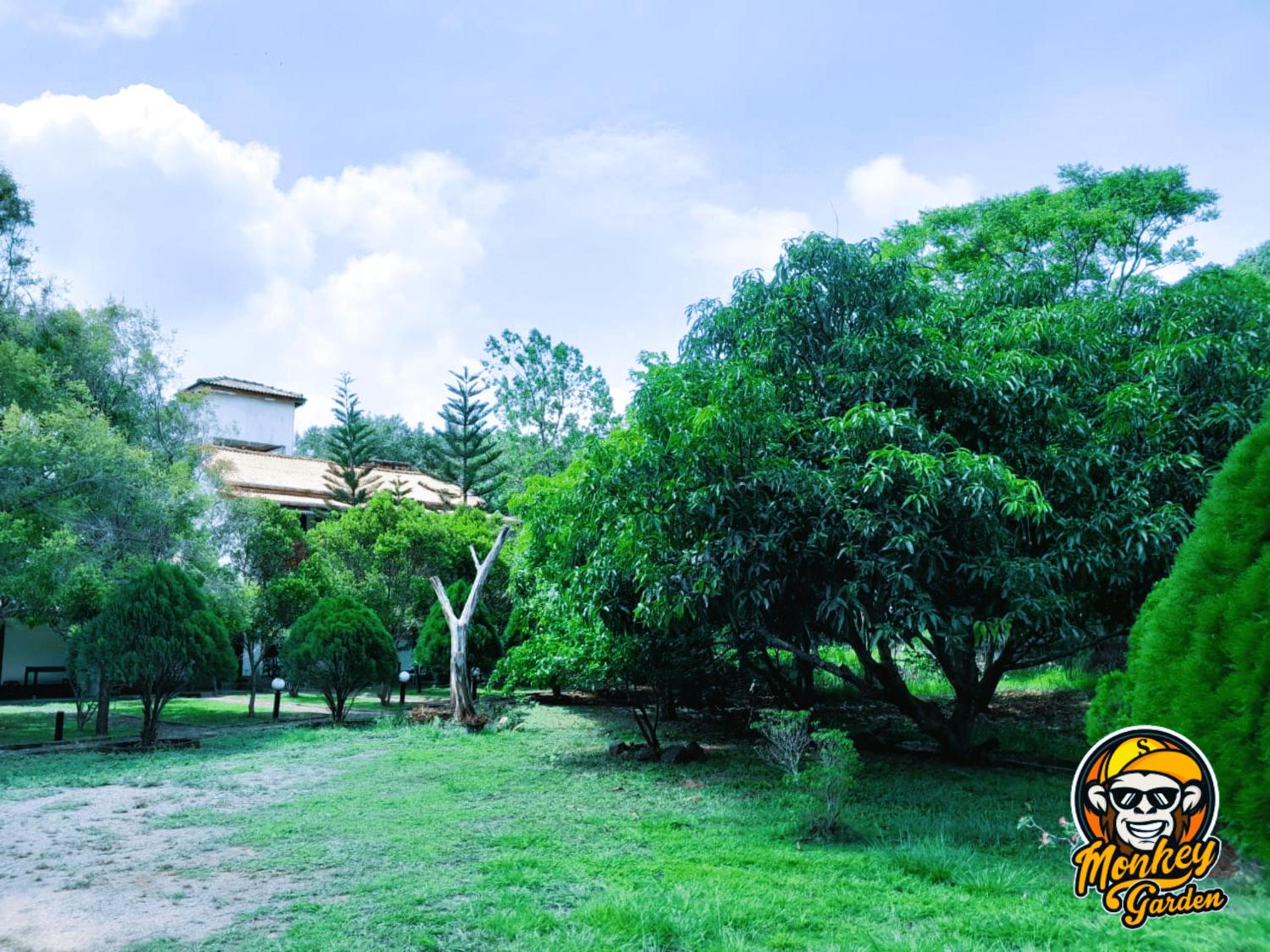 The Monkey Garden view 2