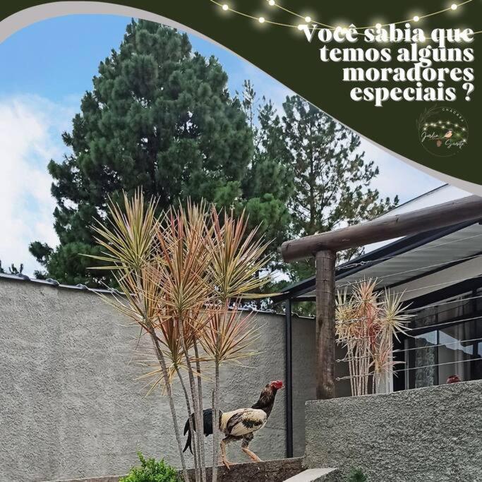 Chácara Jardim Secreto
