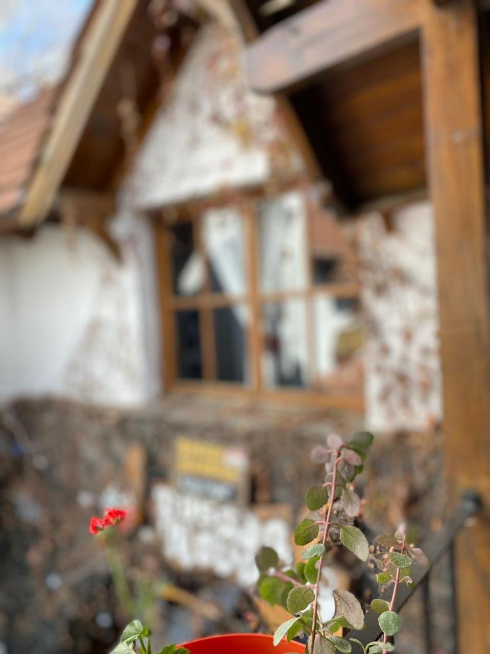 Posada Novalis VGB
