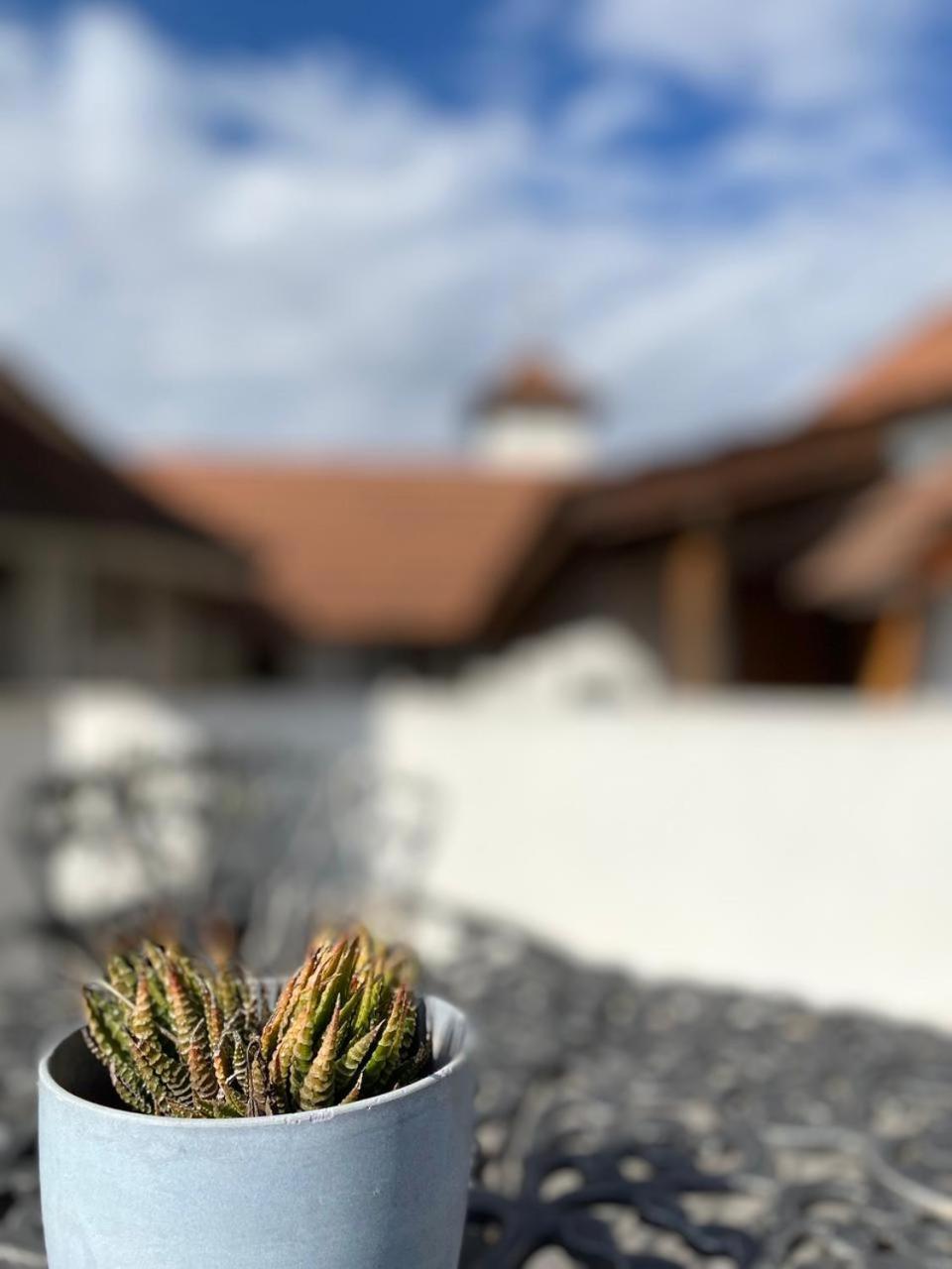 Posada Novalis VGB