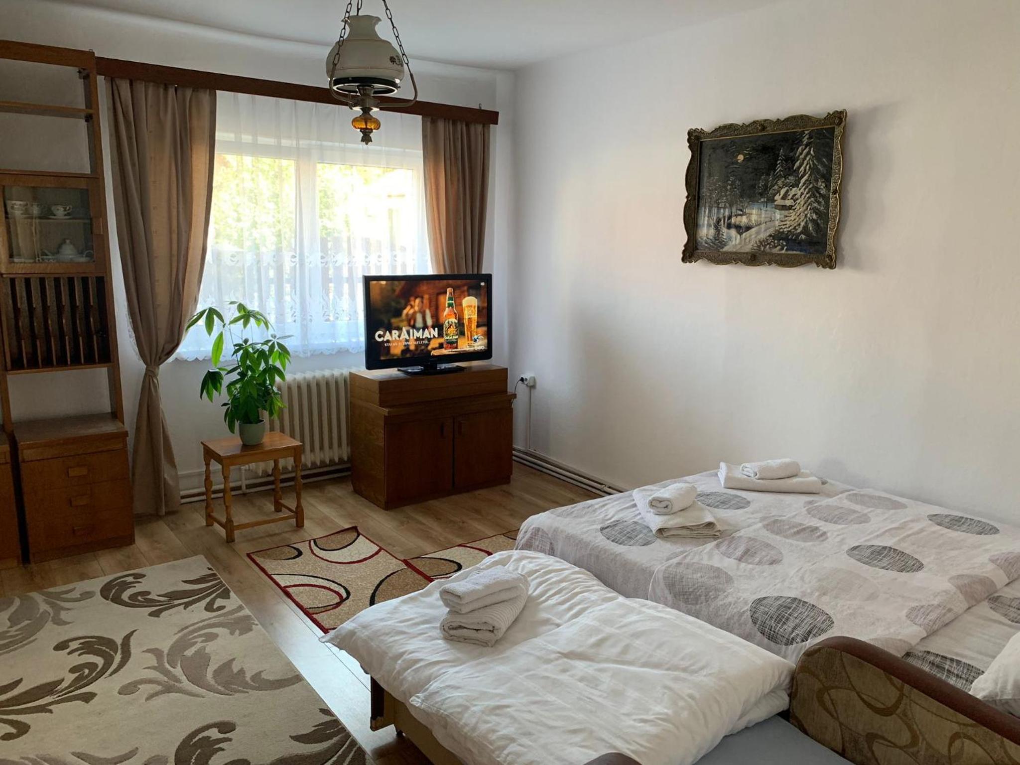 Casa Crisan view 5