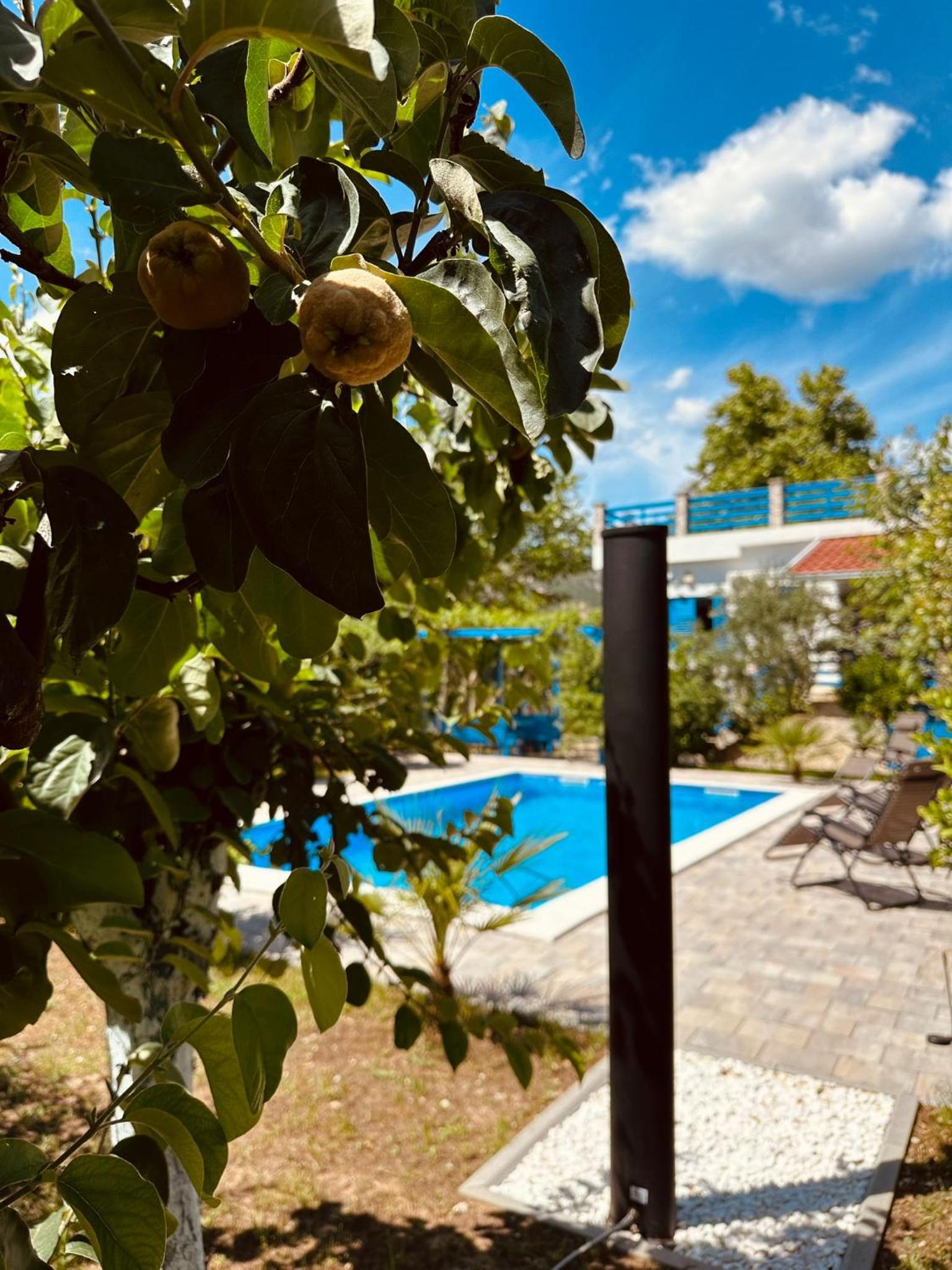 Villa Cataleya Počitelj