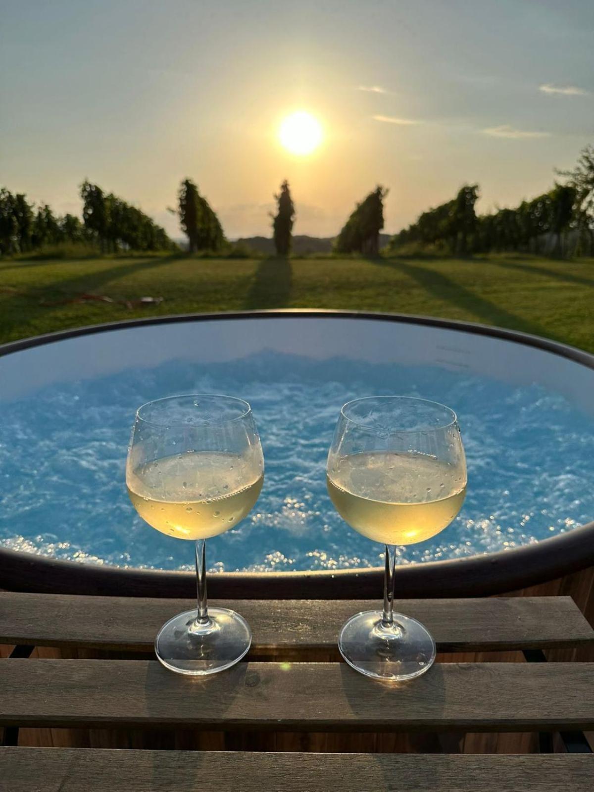 Guesthouse and Wellness VINEA
