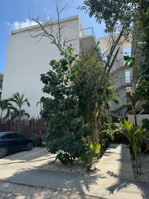 Departamento en Tulum, Solum Living view 2