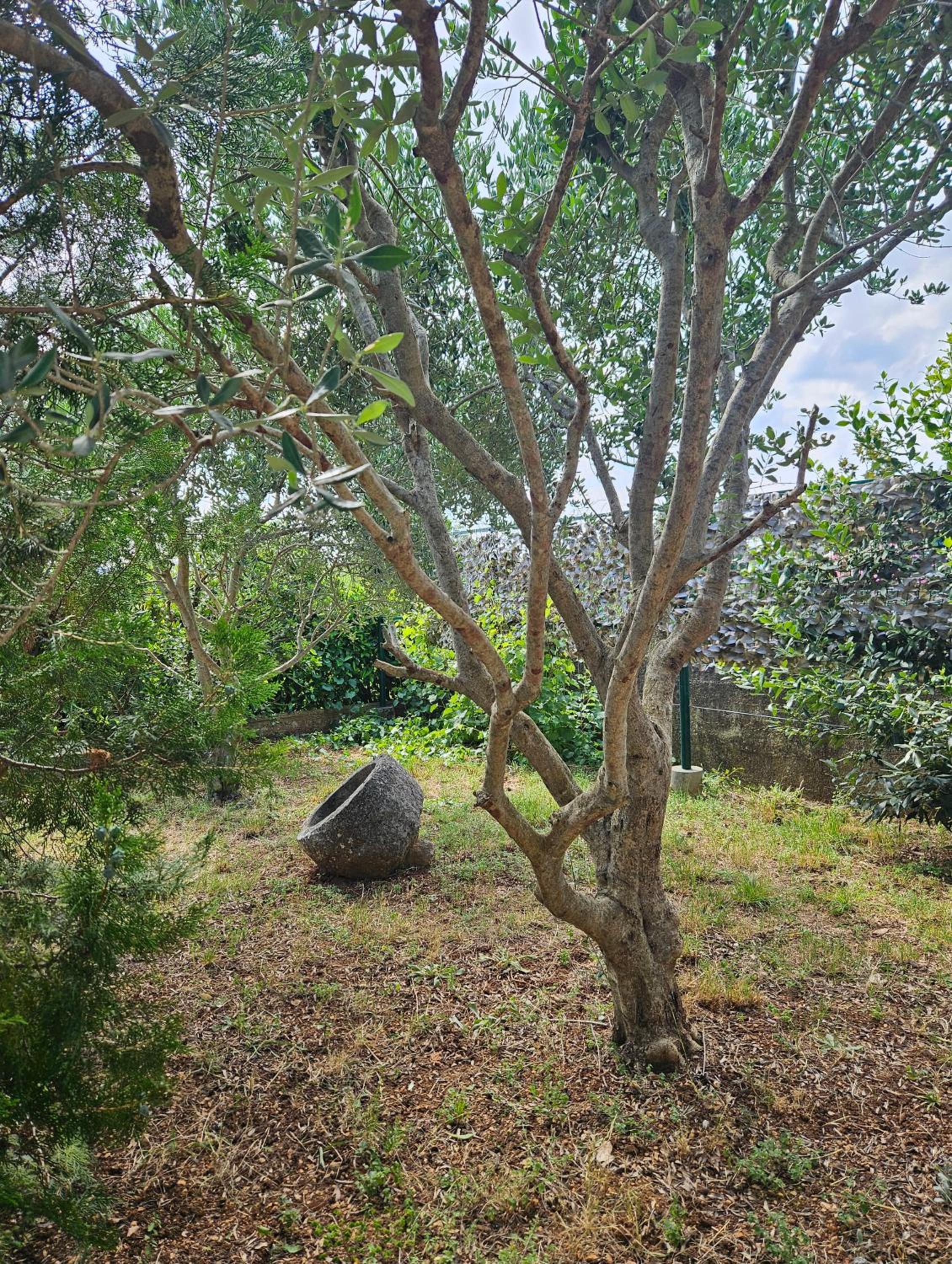 Photo 44