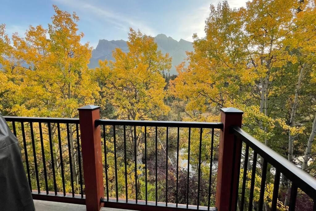 C303 Hidden Gem with MTN andCreek View, Quiet and Private